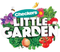 Little-Garden